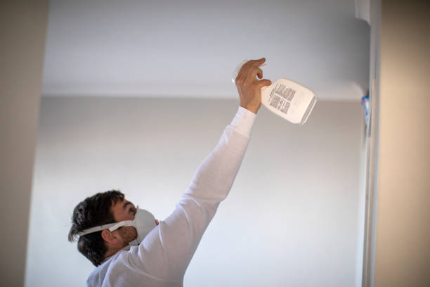 Best Mold Testing and Inspection Services in Overton, TX