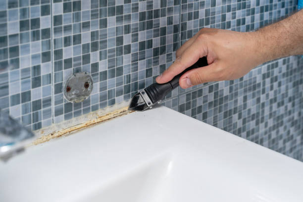 Best Residential Mold Remediation in Overton, TX