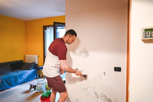 Best Post-Flood Mold Remediation in Overton, TX
