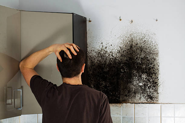 Best Bathroom Mold Remediation in Overton, TX